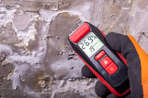Best Emergency Mold Remediation in Dunsmuir, CA